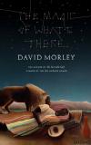 David Morley The Magic of What's There