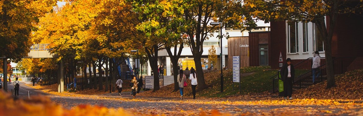 Photo taken on campus, on Library Road. It's autumn and the leaves are on the floor. Students are walking down the road. 