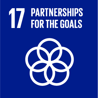 sdg 17