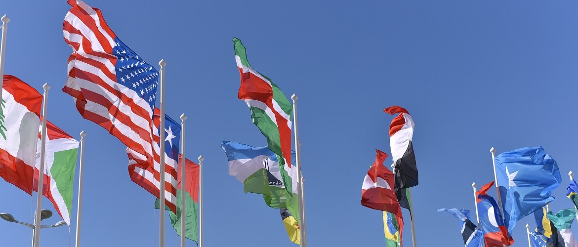 An array of flags from different countries, blowing in the wind
