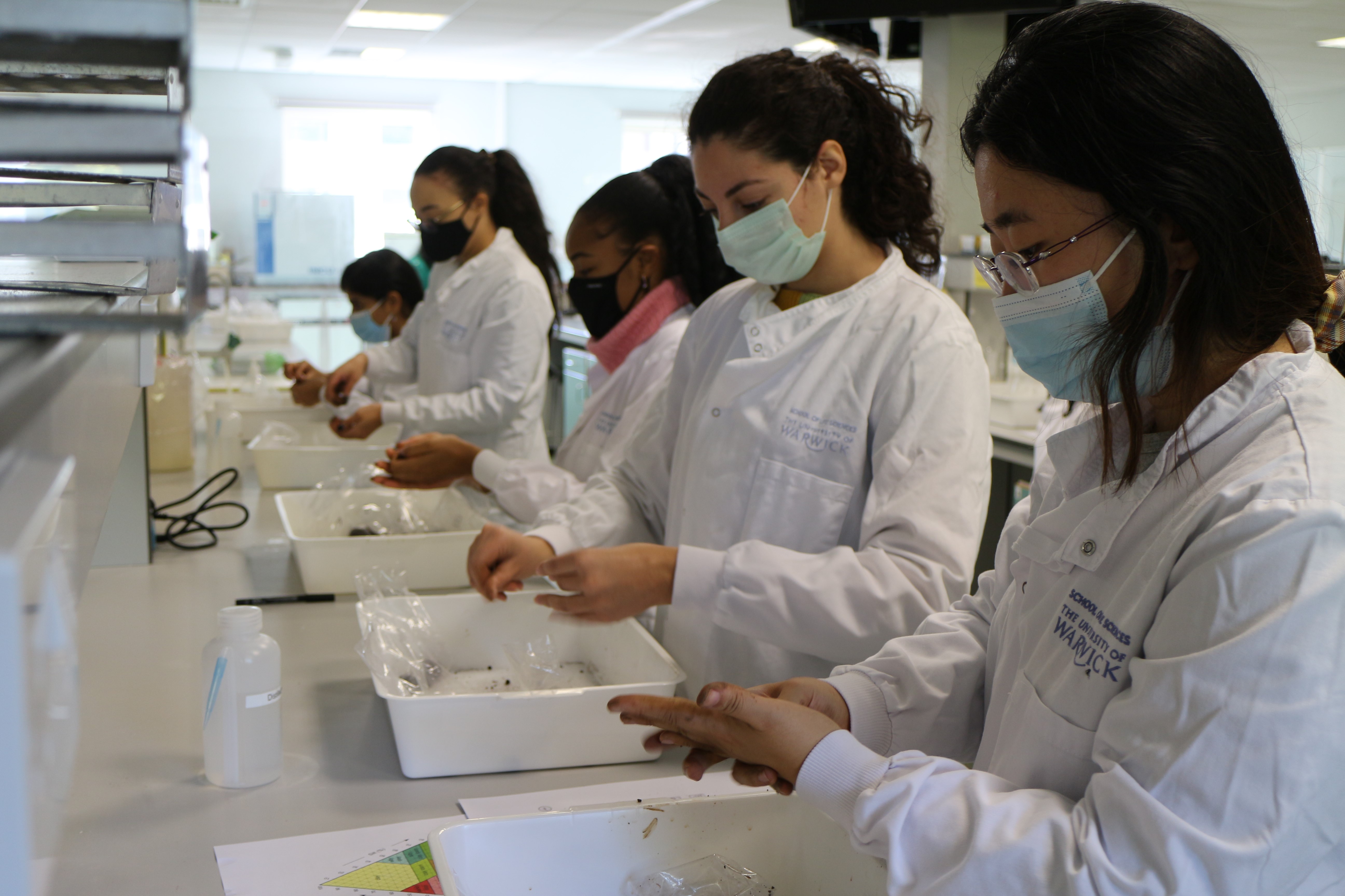 MASc students in the labs on campus looking at soil samples