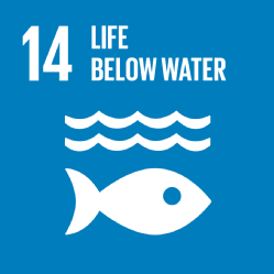 SDG 14