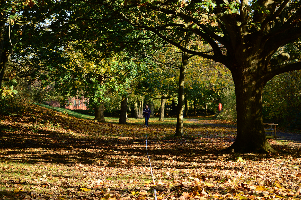 warwick campus autumn