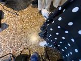 img_1352.jpeg