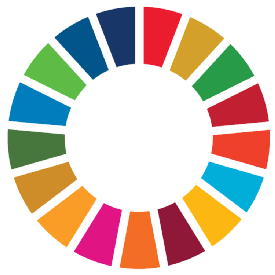 SDG Wheel
