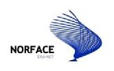 Norface