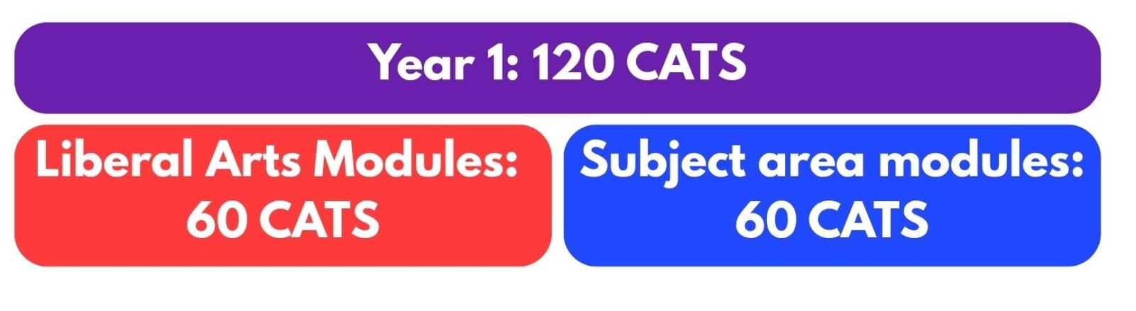 Year 1: 120 CATS, comprised of 60 CATS Liberal Arts modules and 60 CATS subject area modules