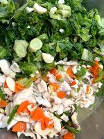 Food Quality & Safety - Group 19 (1)