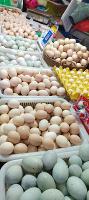 Food Quality & Safety - Group 19 (3)