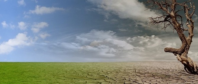 Climate, Change, Drought, Environment, Desert