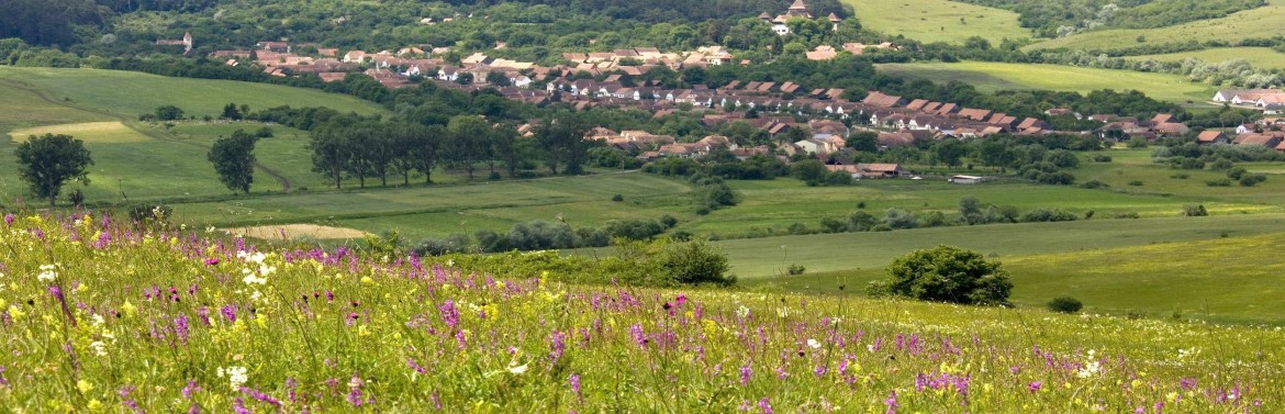 Sighisoara-Tarnava Mare Protected Area