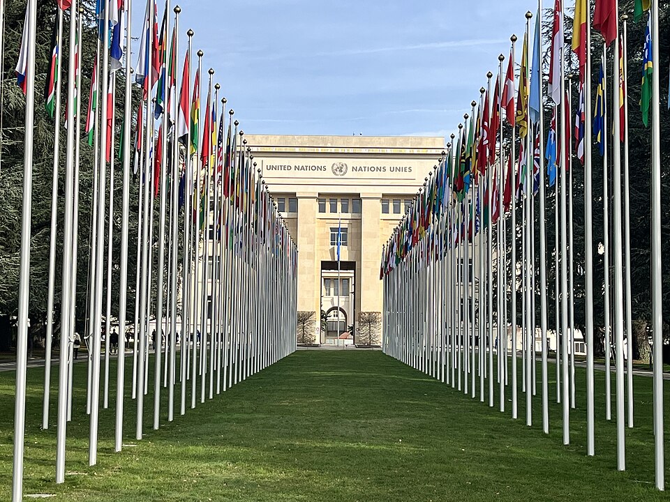This photograph shows a tourist attraction in Geneva, Switzerland; called Alley of Flags. 