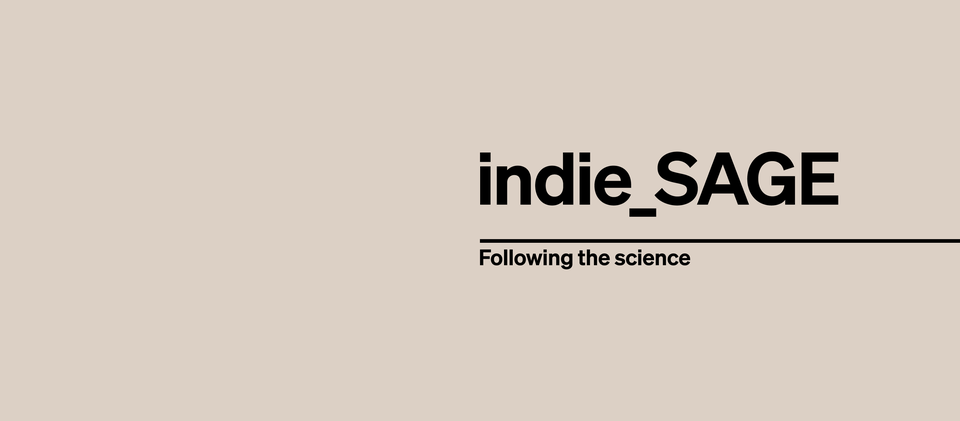 The logo for the IndieSage group. Text on a plain background
