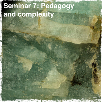 seminar_7.jpg