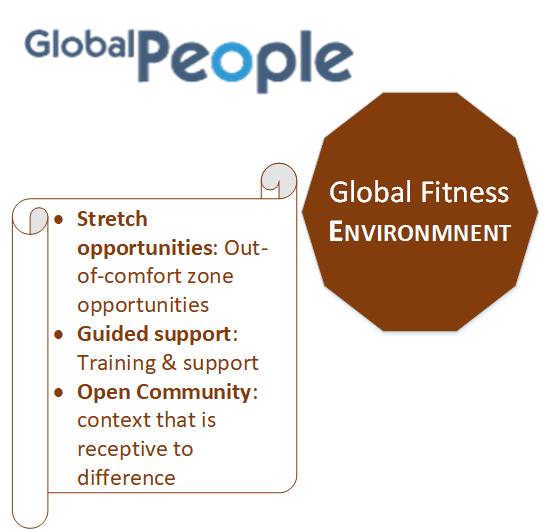 Diagram of one element of the Global Fitness Program: Global Fitness Environment. These include Stretch Opportunities, Guided Support, and Open Community