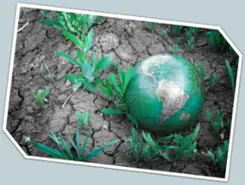 Education for Sustainable Development