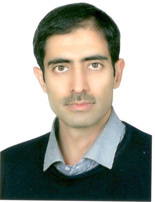 Image of Hamidreza Arjmandi