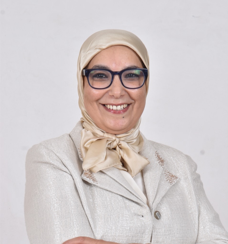 Image of Prof Farida Fassi