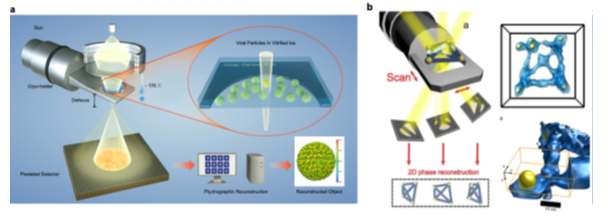 Image depicting Schematics of (a) cryo-electron ptychography and (b) tilted ptychographic tomography configuration