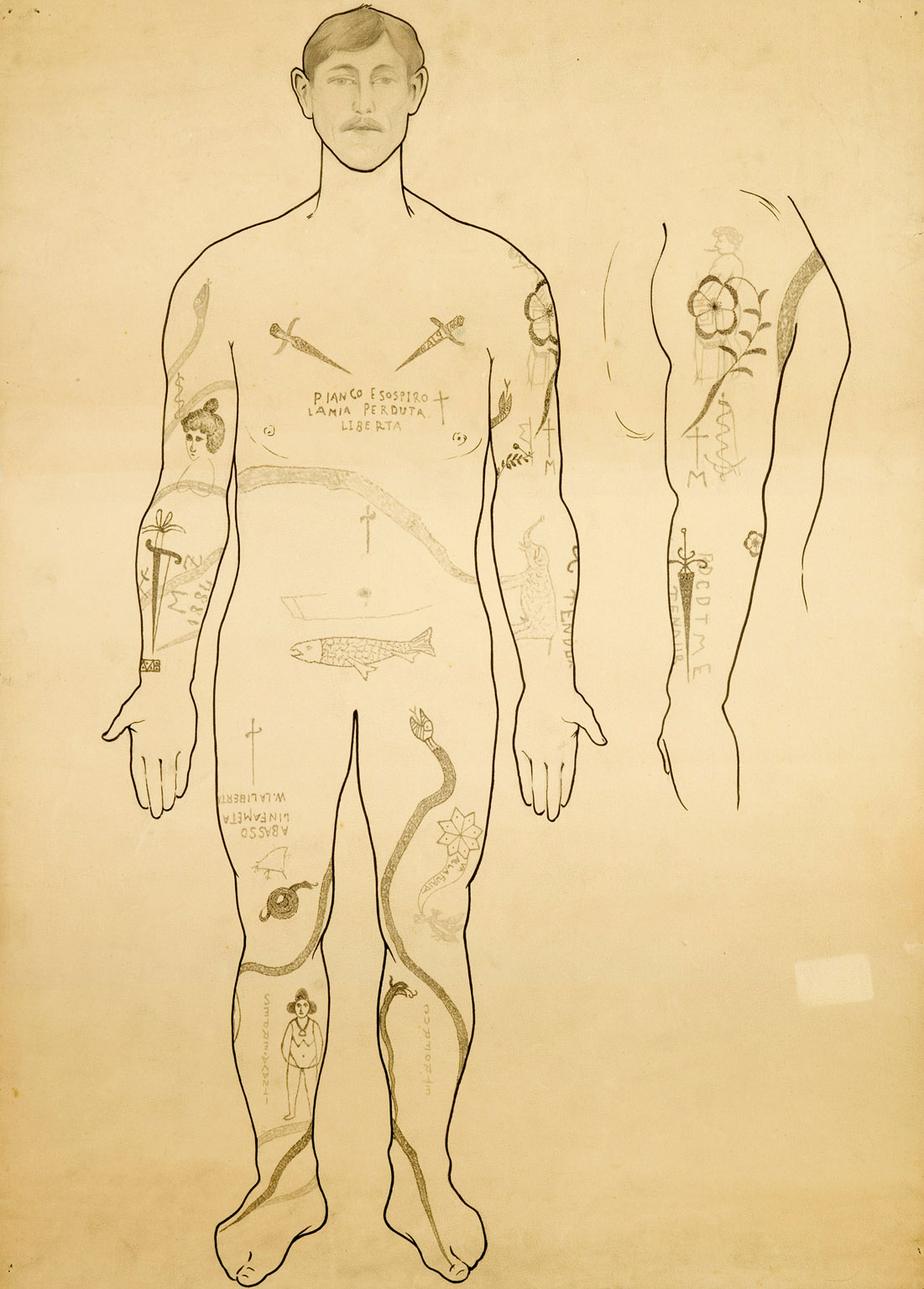 Drawing of a tattoed man (Lombroso)