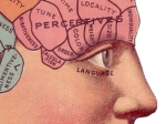 Old illustration of brain areas