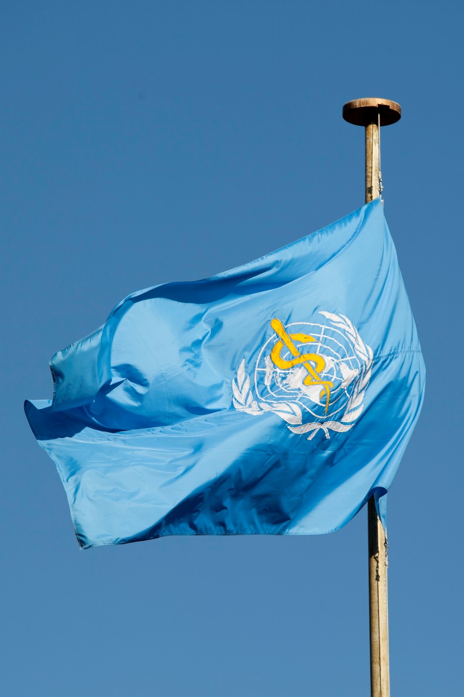 World Health Organization Headquarters and Flag