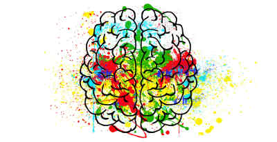 colourful brain