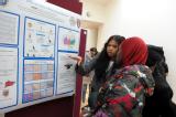 Poster/Exhibition B