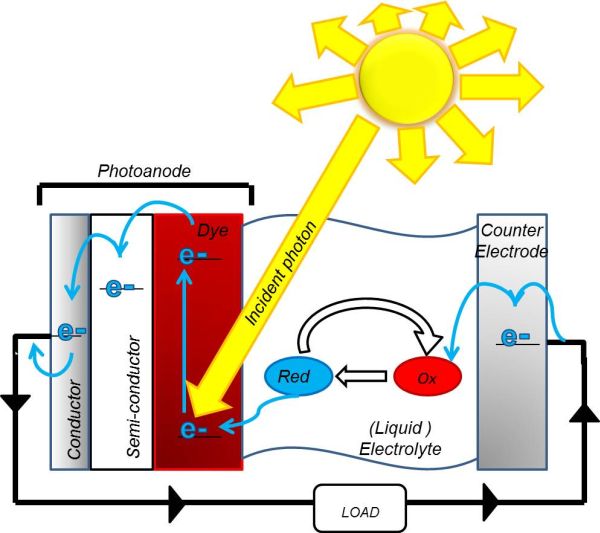 Figure 1: A diagram of a DSSC showing the reduction and oxidation of the redox couple.