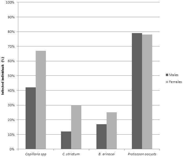 Figure 3: Comparison between male and female hedgehogs