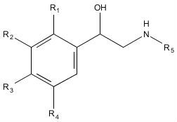 Figure 1: General structure of a beta-2 agonist