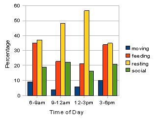 Fig. 4: activity budget for all individuals in troop A.jpg