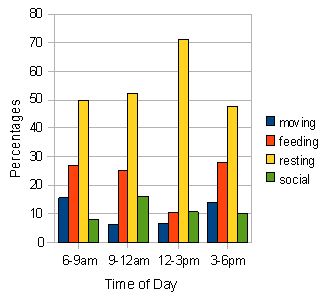 Fig. 5: activity budget for all individuals in troop B.jpg