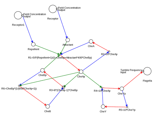 Figure 9: The chemotaxis pathway in the μCell cell definition editor.