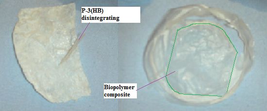 Figure 10: The poly-3-hydroxybutyrate layer disintegrating from a surface unmodified cellulose surface (left) compared to the good compatibility of the two component polymers when surface modified cellulose is used (right)