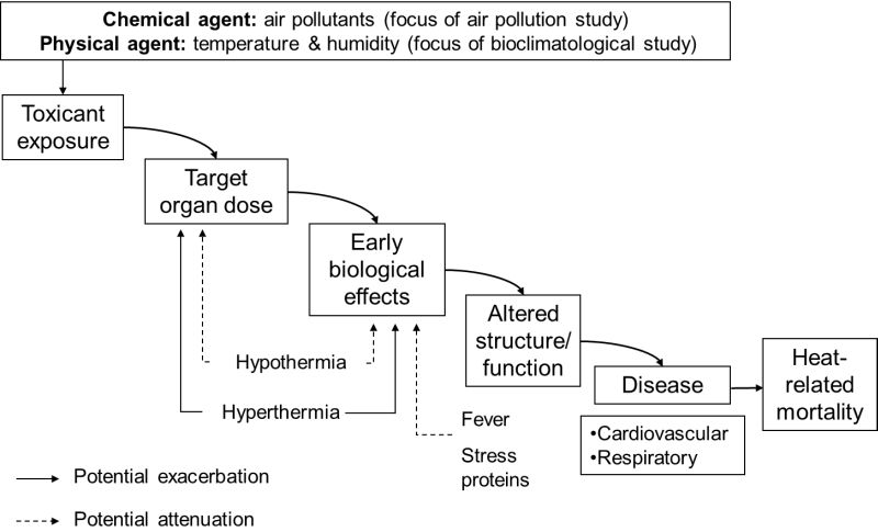 Modification of the exposure-dose continuum taking into consideration the possible effects and consequences of heat stress and thermoregulatory responses