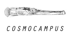 Cosmocampus