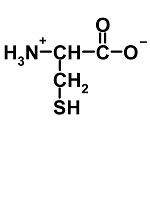 Cys structure