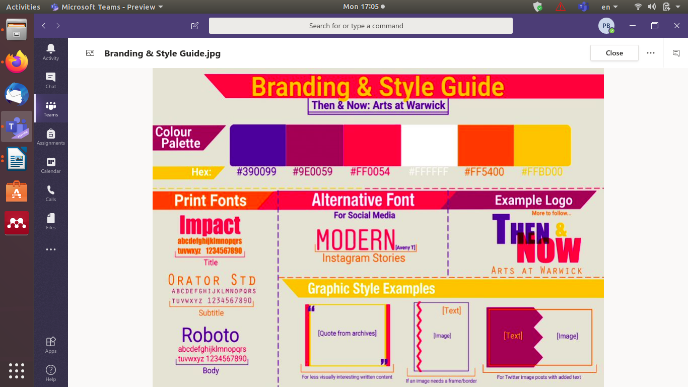 Fig. 2: Digital Team’s style guide for social media/project branding