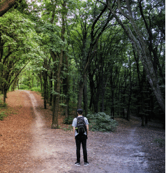 Man standing in trees in front of two paths