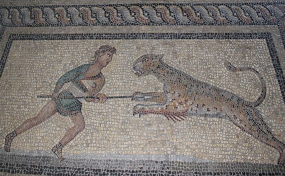 Figure 12: Mosaic of Gladiator and Tiger, Palace of the Grand Masters, Rhodes