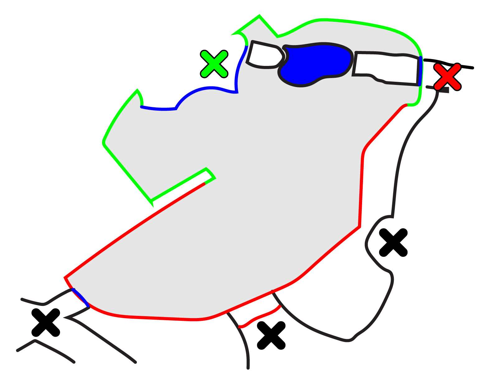 Figure 1: A schematic map of the tiger enclosure. Green lines indicate solid walls, red lines chain-link fences and blue lines floor-to-ceiling double glass walls. X marks viewing spots, the green X being the main viewing area and the red X the other glass wall. Filled out with blue is a pool.