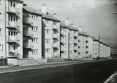 image_6_corporation_housing_at_birgidale_road_castlemilk_1958.jpg