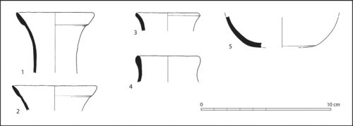 Figure 7: Profiles of Taquara/Itararé drinking cups, as recovered from PM01
