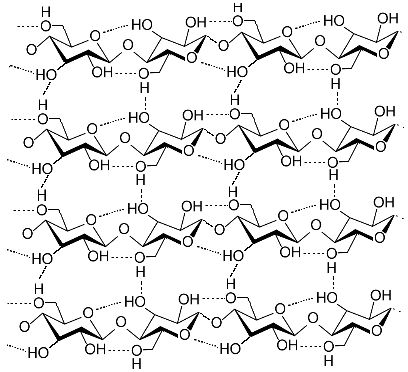 Figure 1: β 1-4 linked D glucose units of cellulose and hydrogen bonding between cellulose chains