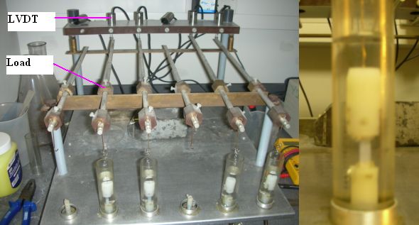 Figure 7: Composite polymer specimens undergoing uni-axial tensile testing at hydrated state