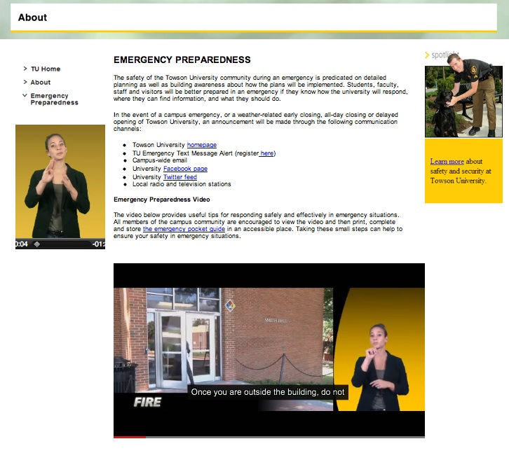Figure 4: Thumbnail and embedded video design