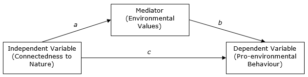 Figure 1: The mediating role of environmental values between connectedness and behaviour