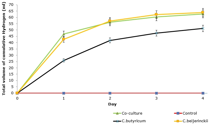 Figure 2: Total cumulative hydrogen gas produced daily by pure and co-culture in four days