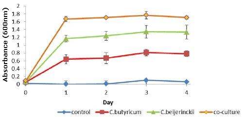 Figure 3: Growth of pure culture and co-culture during hydrogen production when supplemented with 10g/L of molasses